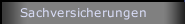 Sachversicherungen